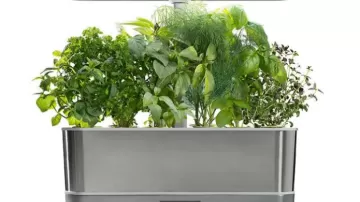 Planted with Purpose- Let’s Start a Non Profit!
